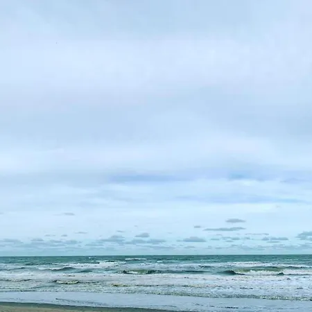 In *